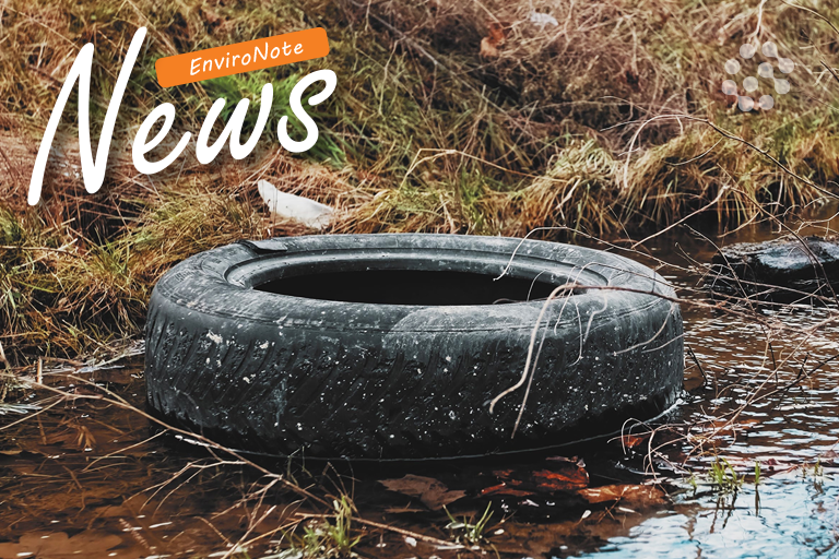 Tyre Anti-Degradants & the Environment