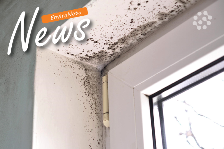 Mould in the Built Environment