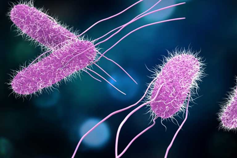 Microbiology Testing