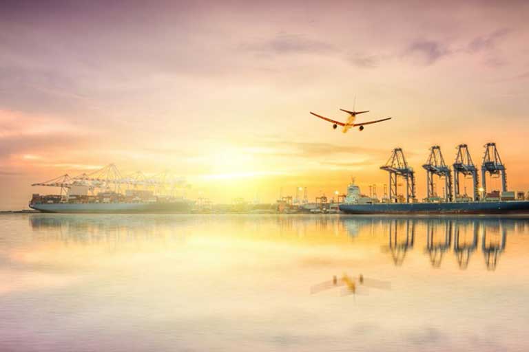 Food, Beverage, Dairy and Feed Export