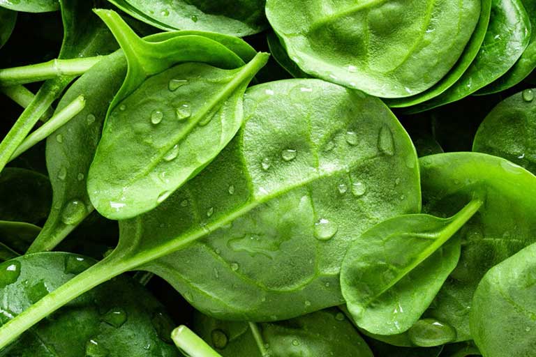 Fresh food and value-added products